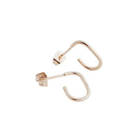 Paulette Oblong Hoops - Spoiled Me Rotten
