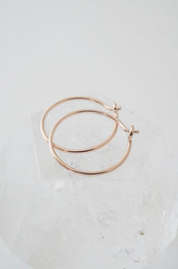 Everyday Hoops Earrings - Spoiled Me Rotten