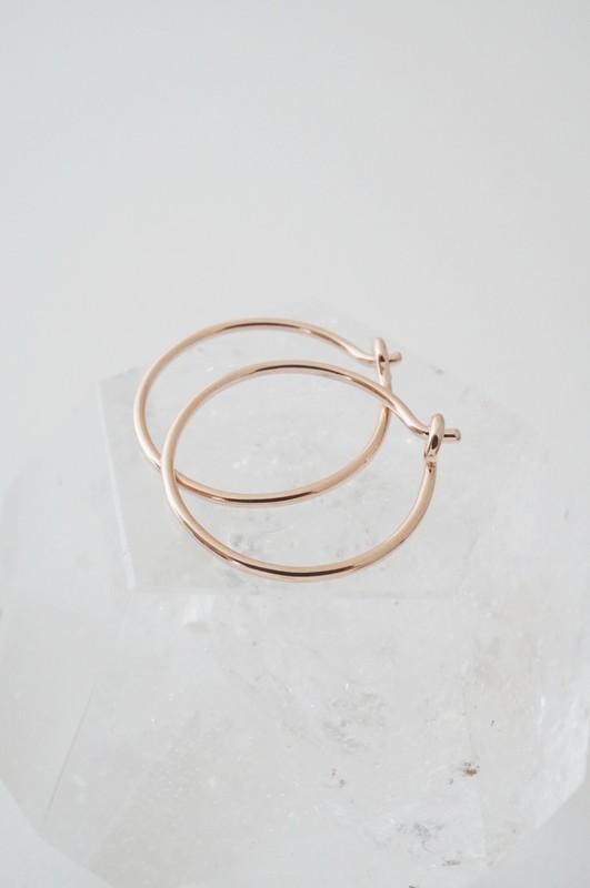 Everyday Hoops Earrings - Spoiled Me Rotten